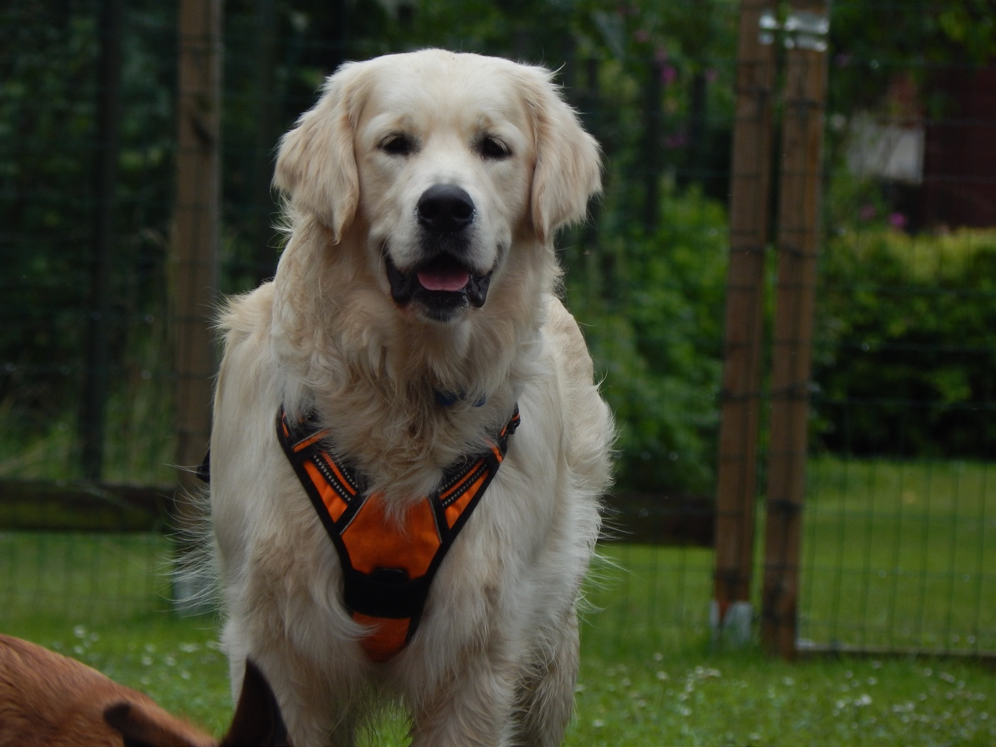 touffu (Sans Affixe)